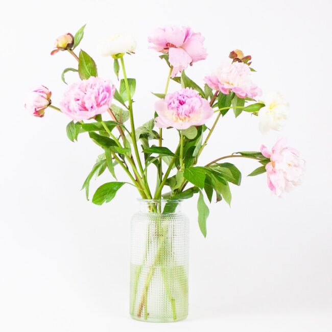 pioenen-special-bloemenvandeteler